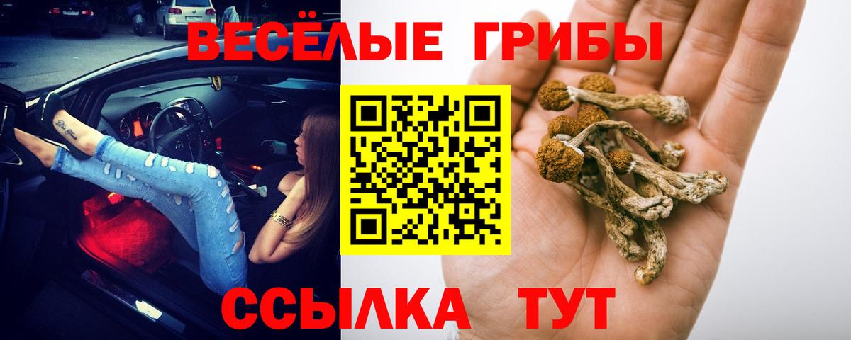 Галлюциногенные грибы мицелий Приморско-Ахтарск
